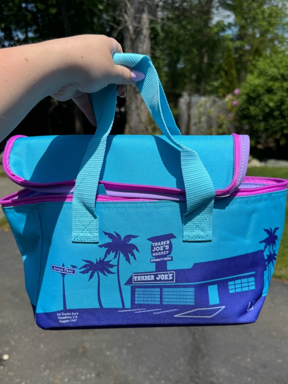 NWT! Trader Joe's Mini Insulated Bag - Teal & Purple